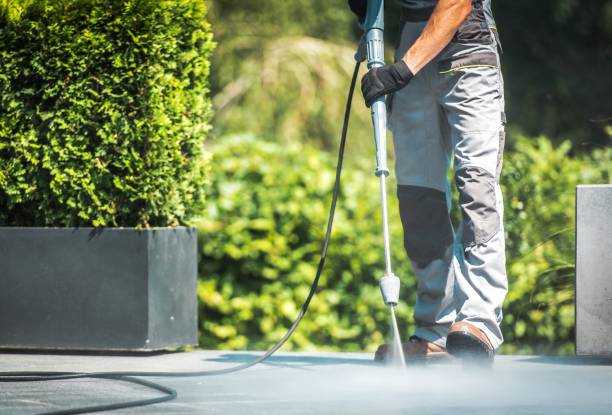 Animal Enclosure Cleaning in St Pete Beach, FL